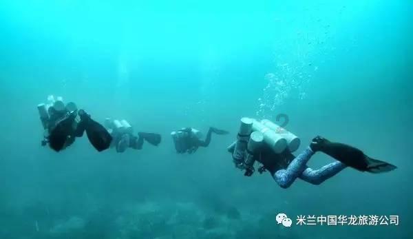 新帅会是谁?塞尔维亚媒体:扬科维奇已被中国足协正式解雇